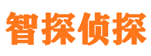 海南区外遇出轨调查取证